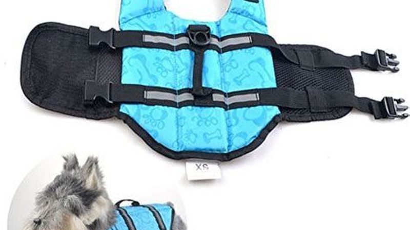 水冷式与风冷式冷水机：区别图解，选购指南