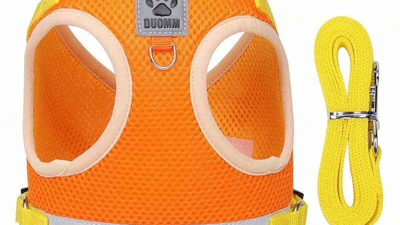 小标题：一、冷冻油在冷水机中的作用