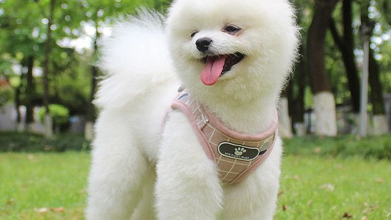 工业冷却塔温差控制：关键方法与策略解析
